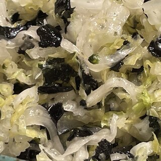 白菜の韓国海苔風和えサラダ